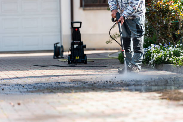 Best Roof Pressure Washing  in Round Lake, IL
