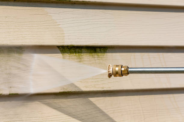 Best Local Pressure Washing Services  in Round Lake, IL